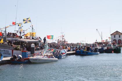 3785.jpg