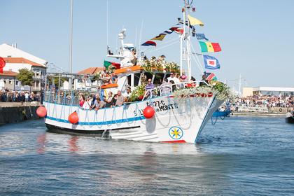 3944.jpg