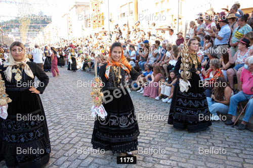 1175.jpg