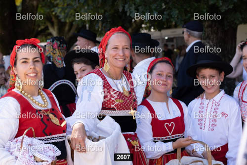 2607.jpg