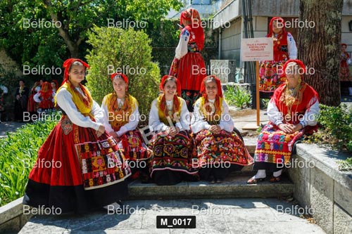 M_0017.jpg