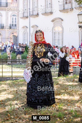 M_0085.jpg