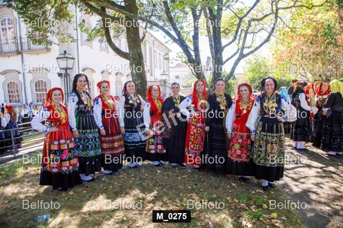 M_0275.jpg