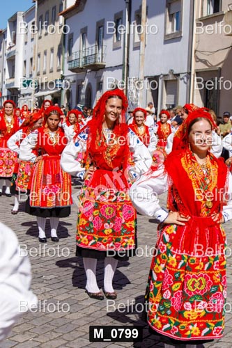 M_0799.jpg