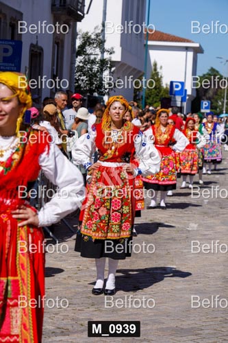 M_0939.jpg