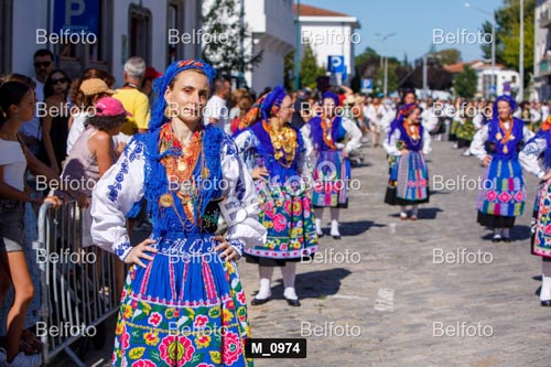 M_0974.jpg