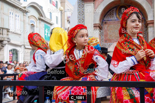 C_1081.jpg