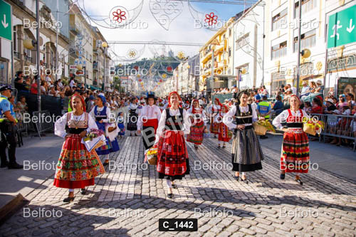 C_1442.jpg