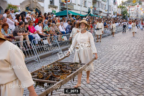C_2073.jpg