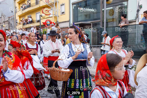 C_2979.jpg