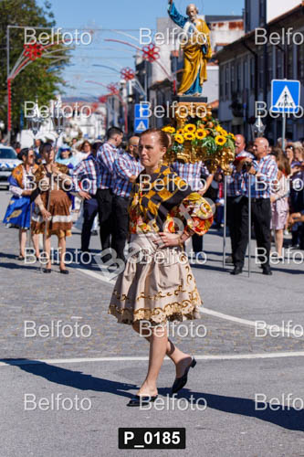 P_0185.jpg