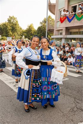 2597.jpg