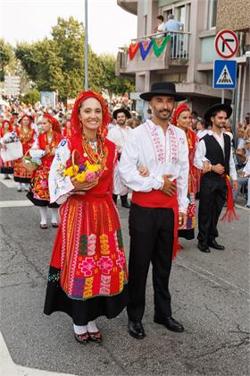 4120.jpg