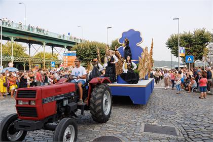 4619.jpg