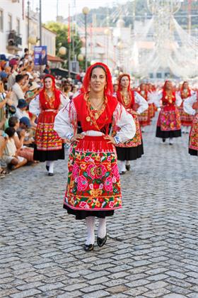 1156.jpg