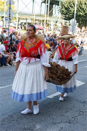 Cortejo2026_0987.jpg