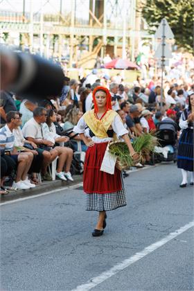 Cortejo2026_1063.jpg