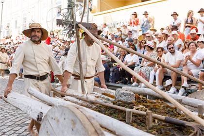 Cortejo2026_1493.jpg
