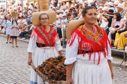 Cortejo2026_1557.jpg