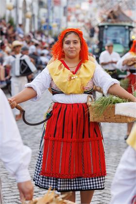 Cortejo2026_1618.jpg