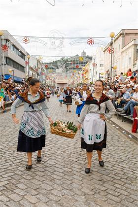Cortejo2026_1714.jpg