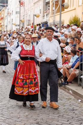 Cortejo2026_1803.jpg