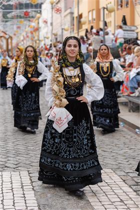 Cortejo2026_2600.jpg
