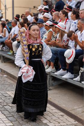 Cortejo2026_2601.jpg