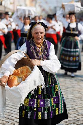domingar2026_0931.jpg